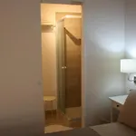 Il Vulcano